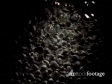 Bubbles Water 1 76